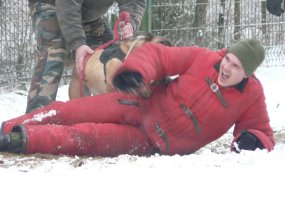 Inžinerijos batalione steigiamas sprogmenų paieškai paruoštų tarnybinių šunų pajėgumas – K-9 grandis - 2