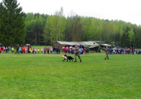 Gedimino štabo batalione vyko atvirų durų diena - 1