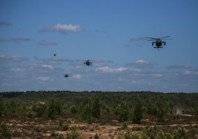 Pabradės poligone sąjungininkai treniruojasi suderintai veikti jungtinėse operacijose   - 3