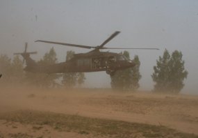 Cooperative Lithuanian-U.S. exercise involved Black Hawk helicopters of U.S. allies - 1