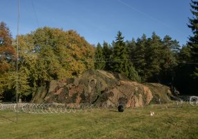 Sausumos pajėgų padalinių pratybos „Ulono kardas“ - 2
