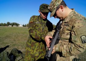 Brigados „Geležinis Vilkas“ ir JAV logistai vykdė kovinius šaudymus - 3