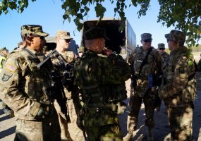 Brigados „Geležinis Vilkas“ ir JAV logistai vykdė kovinius šaudymus - 4