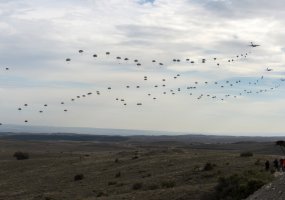 Lithuania's defence leadership observed the most ambitious NATO exercise in a decade in Spain - 5