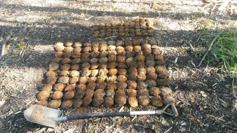 Kariai išminuotojai per planinę operaciją Zarasų rajone sunaikino 2699 vnt. sprogmenų