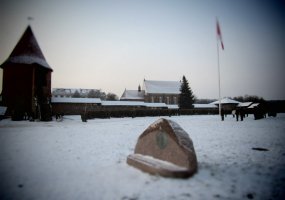 Kunigaikščio Vaidoto batalionas minėjo 24-ąsias įkūrimo metines - 4