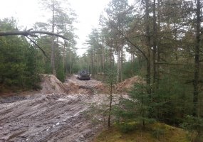 Kaip Algirdo kariai žirgus girdė Šiaurės jūroje  - 2