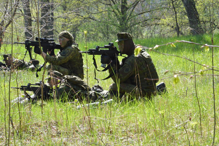 Prienų rajone baigėsi karinės pratybos „Prienų atkirtis“