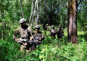 Lietuvos karių dalyvavimu pratybose „Anakonda 2016” džiaugėsi Lenkijos karinių pajėgų gen. ltn.... - 4