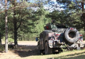 Kartu su 5 tūkst. karių tarptautinėse pratybose „Iron Wolf 2016“ treniruojasi ir Kęstučio... - 5