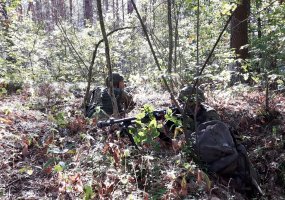 Šiaulių apygardos Probacijos tarnybos direktorius lavino darbo planavimo ir organizavimo įgūdžius - 1