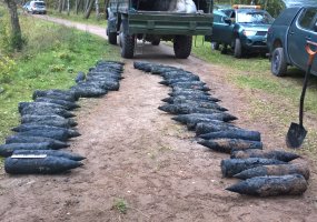 Juozo Vitkaus inžinerijos bataliono kariai Klaipėdoje vykdo sprogmenų paieškos ir neutralizavimo... - 1