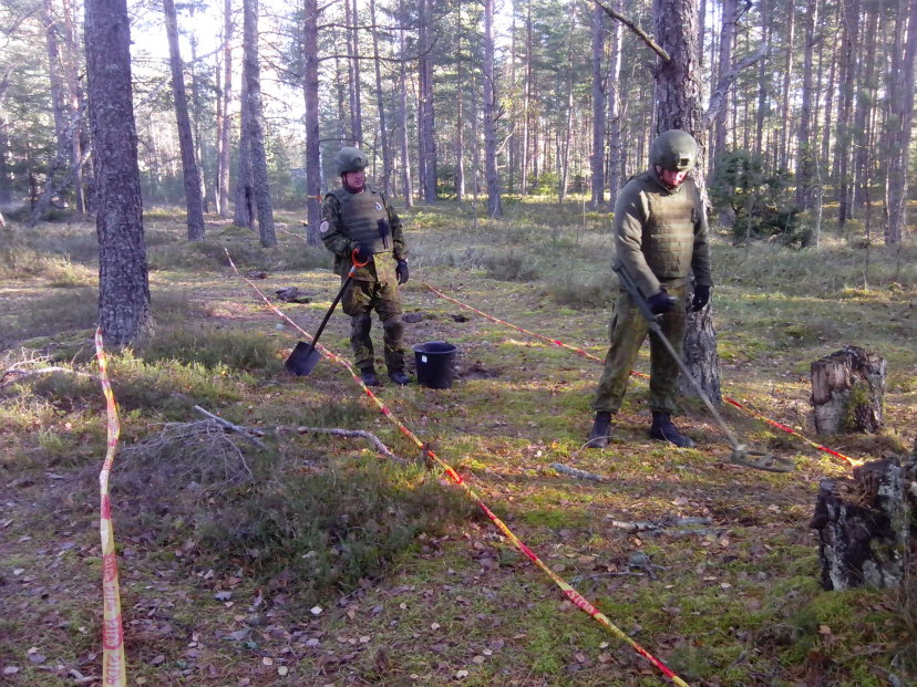 Tarptautinės pratybos „Detonator 2016