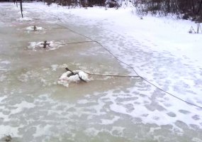 Juozo Vitkaus inžinerijos bataliono Sprogmenų neutralizavimo kuopos kariai intensyviai ruošiasi... - 2