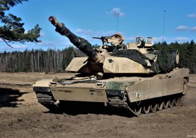 Fotogalerija: Lietuvos kariai treniravosi kartu su JAV rotacinių pajėgų kariais - 4