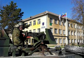Greitojo reagavimo pajėgos įsitvirtino Marijampolėje ir Vilkaviškyje - pratybos „Žaibo kirtis 2017 - 5
