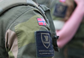 NATO priešakinių pajėgų kovinė grupė Lietuvoje - visiškai sukomplektuota - 5