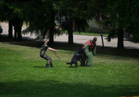 Lietuvos didžiojo kunigaikščio Gedimino štabo batalione vyko atvirų durų diena - 4