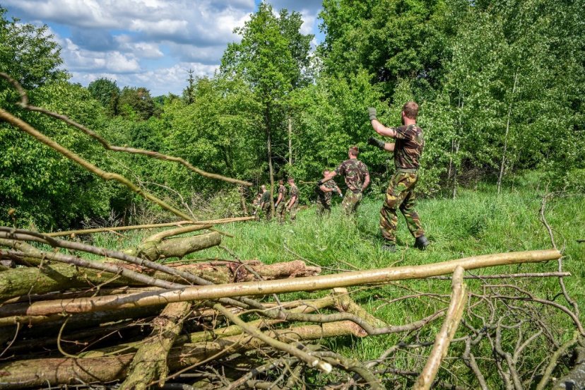 NATO bataliono kariai kartu su jonaviečiais gražino Jonavos rajono aplinką, ugdymo įstaigas