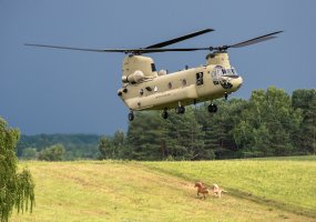 Suvalkų ruože vyksta tarptautinių pratybų „Geležinis vilkas 2017“ karinė operacija - 3