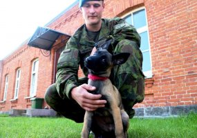 Inžinerijos bataliono K-9 grandyje - nauji keturkojai kariai - 3