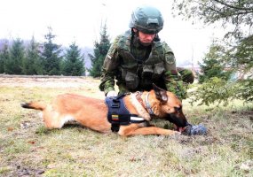 Inžinerijos bataliono K-9 grandyje - nauji keturkojai kariai - 5