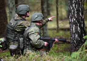 Šiaulių regione vyks karių savanorių pratybos - 4