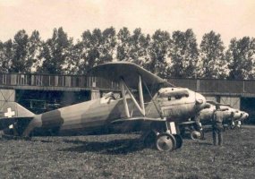 Karinės oro pajėgos pradėjo ruoštis 100-osioms įkūrimo metinėms - 1