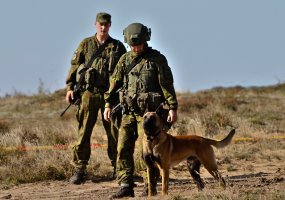 Kariuomenės šunims – išminuotojams didžiausias malonumas – sprogmenų paieška   - 1