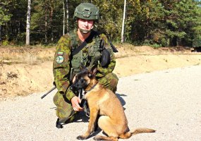Kariuomenės šunims – išminuotojams didžiausias malonumas – sprogmenų paieška   - 4