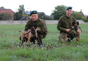 Kariuomenės šunims – išminuotojams didžiausias malonumas – sprogmenų paieška   - 6