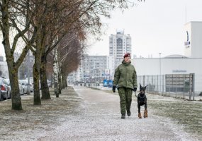 Minint Krašto apsaugos savanorių pajėgos 27-ąsias įkūrimo metines - diena su uniforma - 4