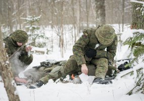 Karių savanorių būrys prisieks partizanų priesaikos vietoje - 4