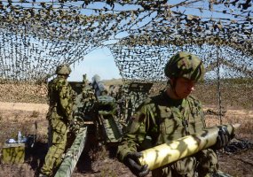 Lithuanian troops to train in one of Europe's largest fire support exercises  - 2
