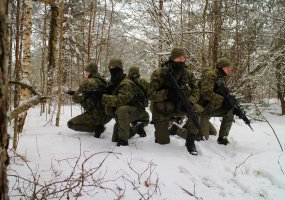 Žiemiška oro temperatūra karinio rengimo planų nekeičia - 6