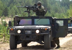 Alytaus, Jonavos ir Kaišiadorių rajonuose vyks karinės pratybos - 2