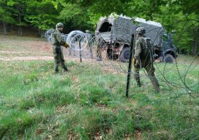 Puikiai įvertintas Inžinierių pasirodymas tarptautinėse pratybose „Combined Resolve 2018 - 5