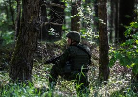 Dragūnų batalione  karinius  įgūdžius atnaujino  per 250   rezervo karių - 1
