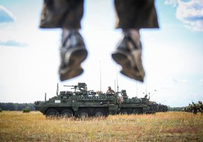 Pratybų taktinė pauzė - galimybė visuomenei pamatyti karinę techniką ir pabendrauti su kariais - 2