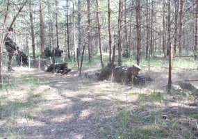 Parengtojo rezervo kariai nedvejodami gintų Lietuvą - 2