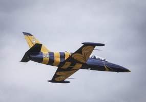 Fotogalerija: pratybų „Perkūno Griausmas“ ir „Kardo kirtis“ svečių ir žiniasklaidos diena - 4