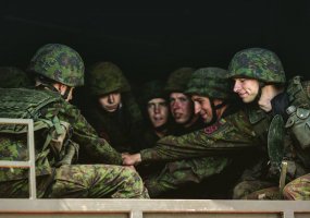 Antrajam Lietuvos kariuomenės artilerijos batalionui - vieneri - 3