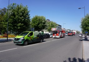 Vytenio bendrosios paramos logistikos bataliono kariai dalyvavo minėjime - 4