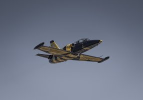 „Budraus Grifono“ pratybose savo įgūdžius tobulina Oro atakos valdymo grupės - 3