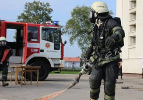 Oro gynybos batalione – sukarintų padalinių šventė - 2