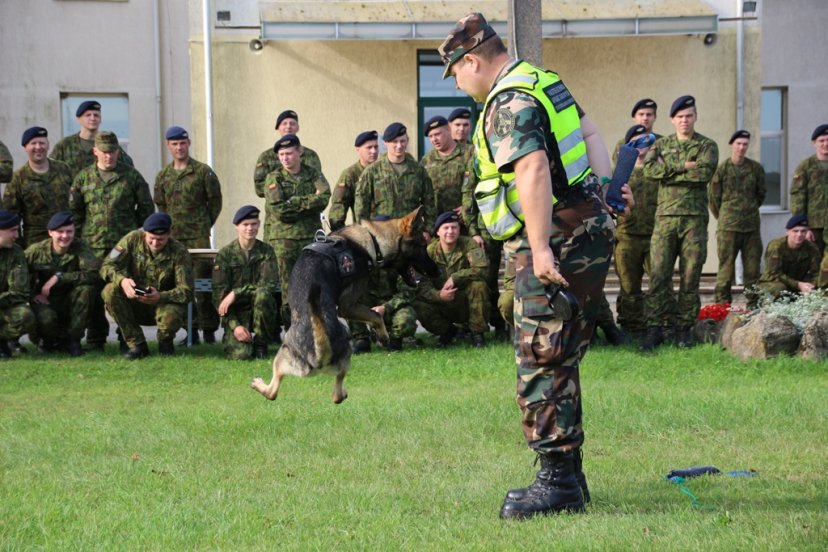 Oro gynybos batalione – sukarintų padalinių šventė