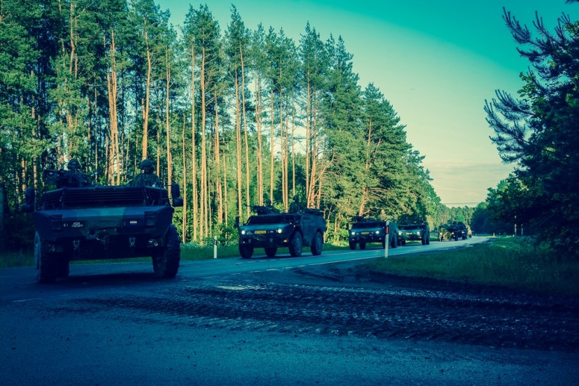 Alert level was heightened at the NAGO eFP Battle Group for training purposes 