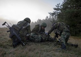 KASP kariai grįžo iš Vokietijoje vykusių tarptautinių pratybų „Saber Junction 2018“ - 4