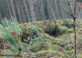 Belgijos kariuomenės landseriai – nuo kovos prieš Napoleoną iki gynybos pozicijų pratybose... - 1