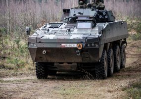 Lietuvos ir Lenkijos brigados koordinuoja operacinius veiksmus - 2
